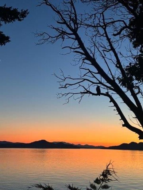 Casa de Allister and Lisa