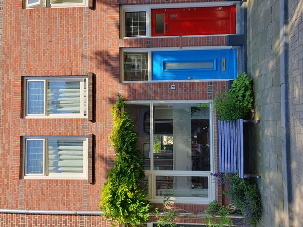 Charming family-friendly home in the heart of Utrecht