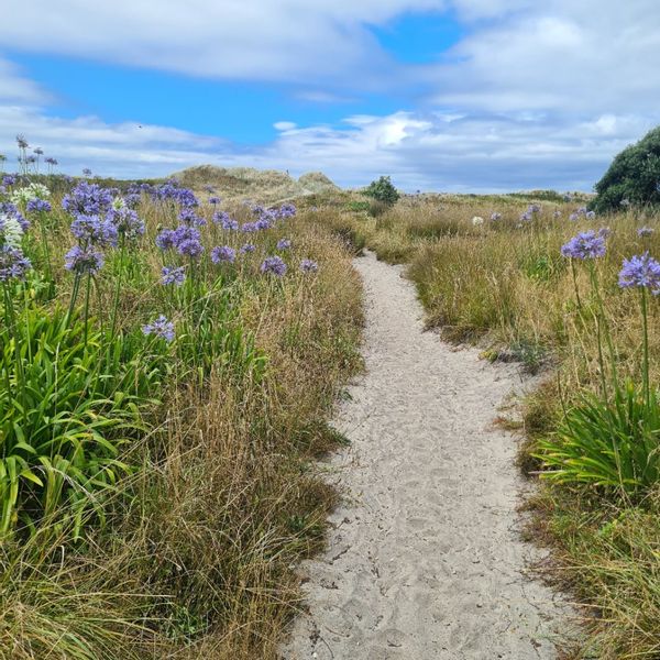 La maison de Ged and Kay