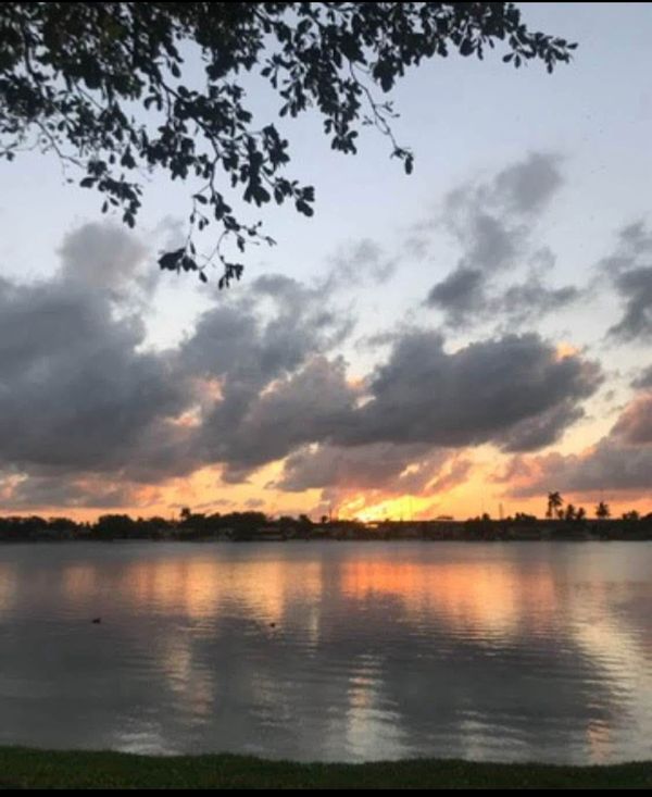 Bertha  |  Monicas hus