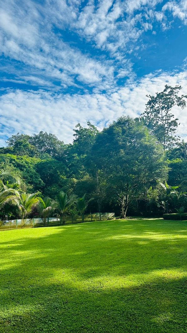 Marta y Karla's house