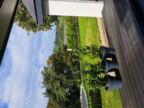 Spacious Derry apartment: where the Wild Atlantic way meets Cuaseway coast