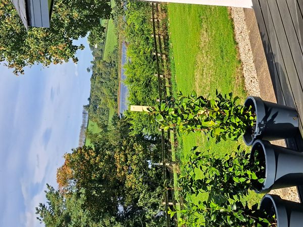 Where the Wild Atlantic way meets the causeway coast.