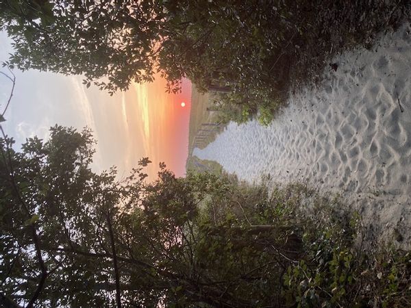 Lily  et Pascalina kuća