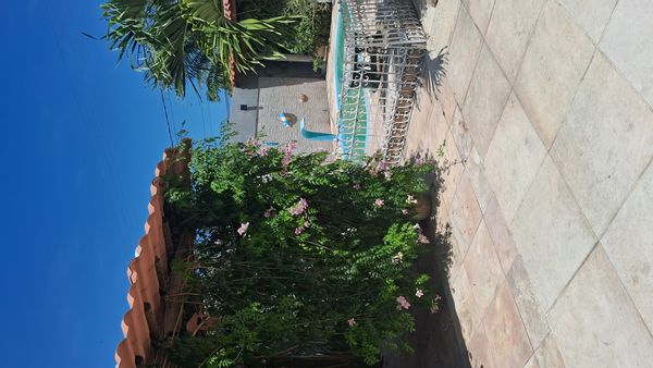 Casa com piscina e jardim privado