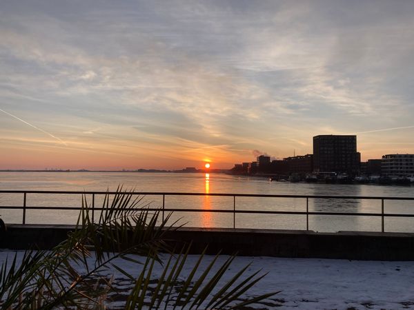 Unieke plek aan het water, aan de rand van Amsterdam