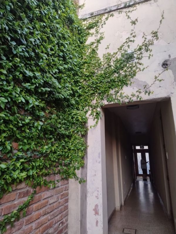 Claudia Fabianas hus