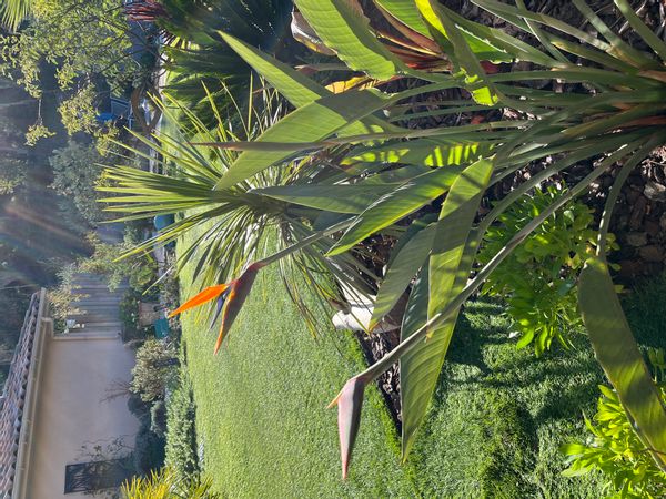 huis van Sandrine et Tanguy