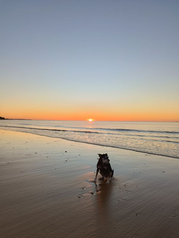 Cádiz en estado puro desde Sanlúcar de Barrameda: entre bodegas y playas