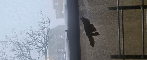 Cozy, quiet 1 bedroom home in the oldest and highest point in Manhattan