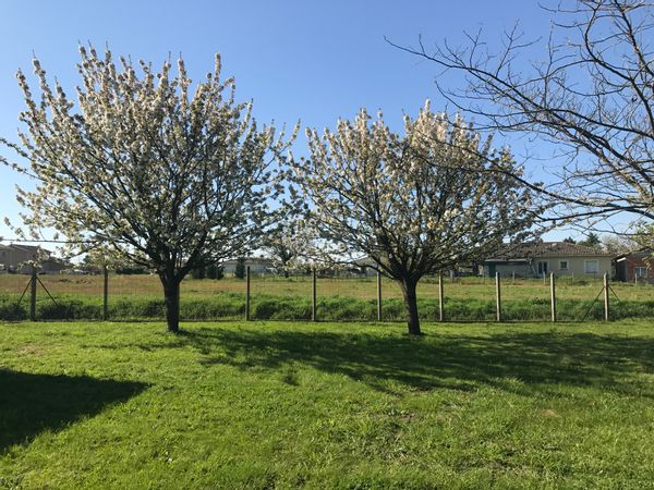 La maison de Guillaume et Sylvie 
