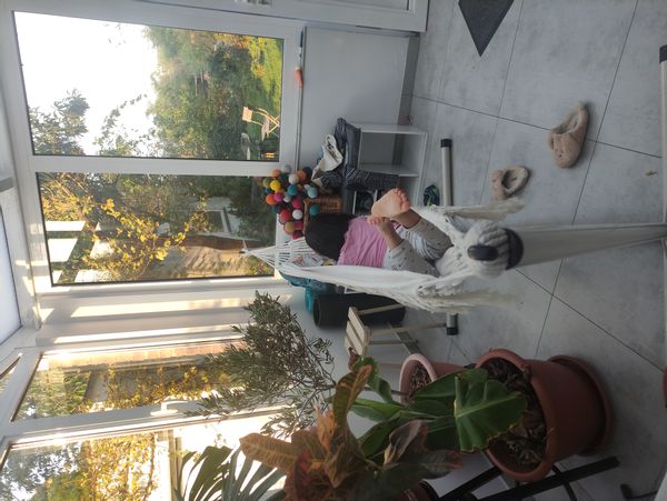 La maison de Anne-Sophie &  Adrian est un mélange parfait entre la ville et la campagne !