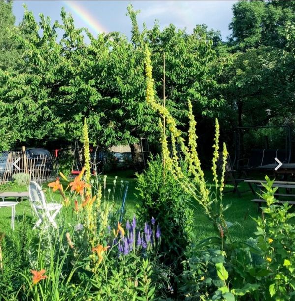 Einfamilienhaus mit großem Garten, Spielmöglichkeiten und Pool.