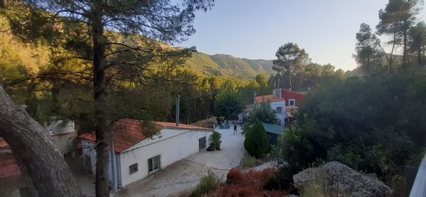 Casa de Cèsar