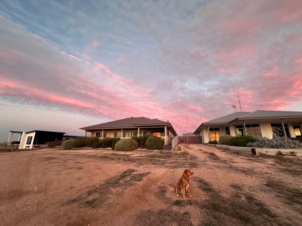 Sue & Ian’s Oceanview Retreat – Glorious Sunsets in a Charming Coastal Town