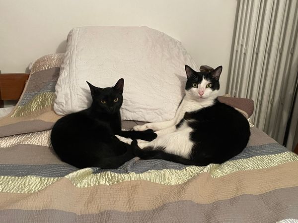 Chambre privée (dans un petit appart près du métro)