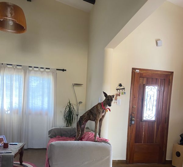 Casa de Manuel Andrés