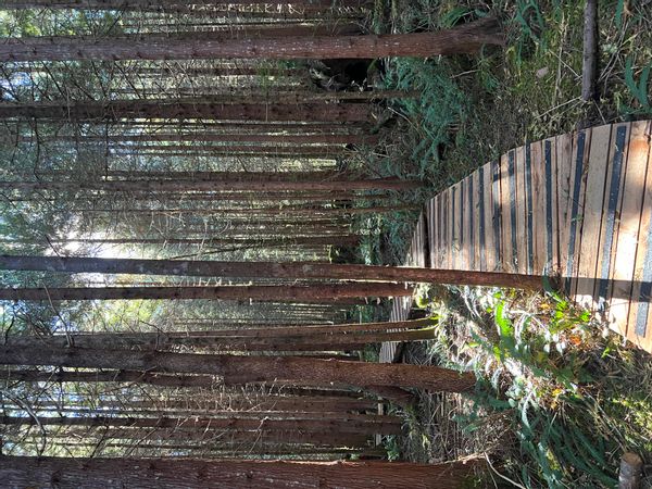 Warm little 1 bedroom on 2nd floor