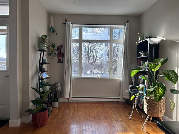 Calm and quiet neighbourhood full apartment private back parking