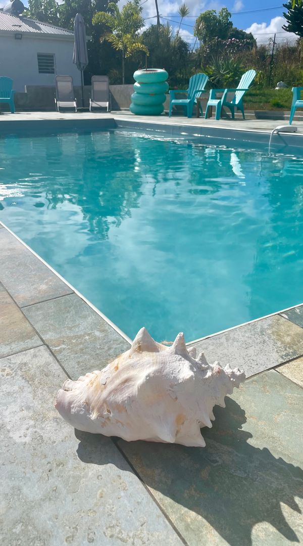 Gîte Vanille-Colibris