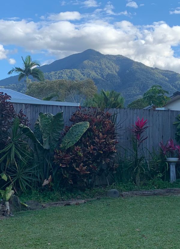 Joanne's Mountain view