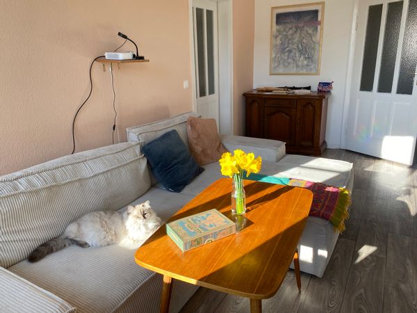 Sunny 73 ​​m² flat with 2 balconies surrounded by fruit trees, close to the river and lakes
