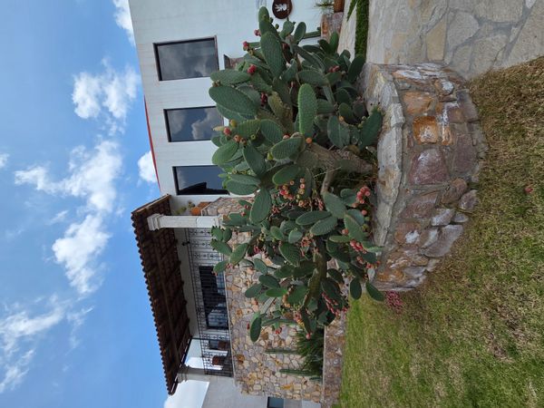 Zona privada a 15 min del centro de San Miguel de Allende donde te desconectaras de tu vida diaria.