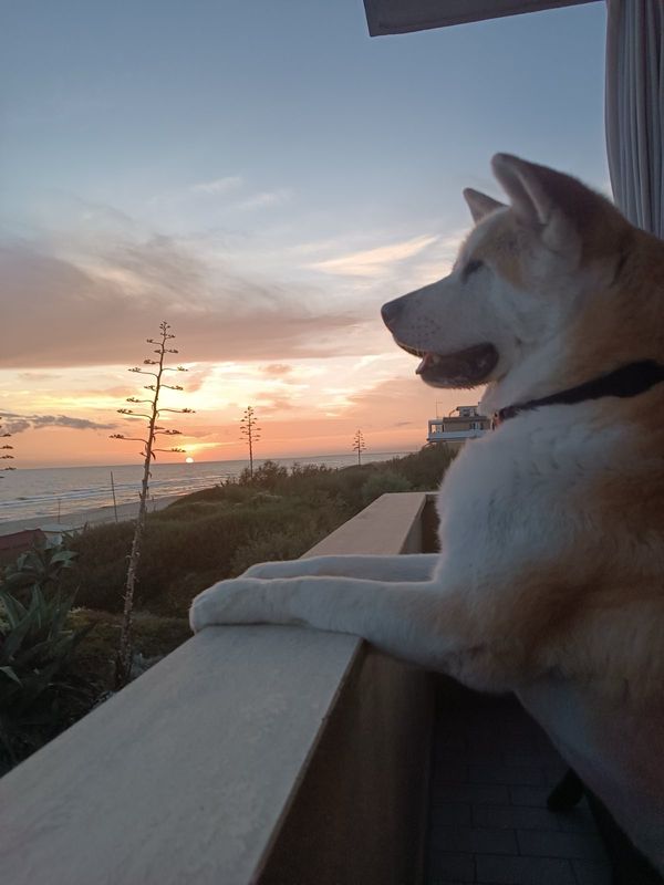 Casa di Katia fronte mare! Un tramonto dal salone!