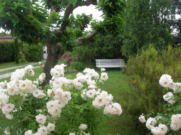 La chambre privée de Jacky & Véronique