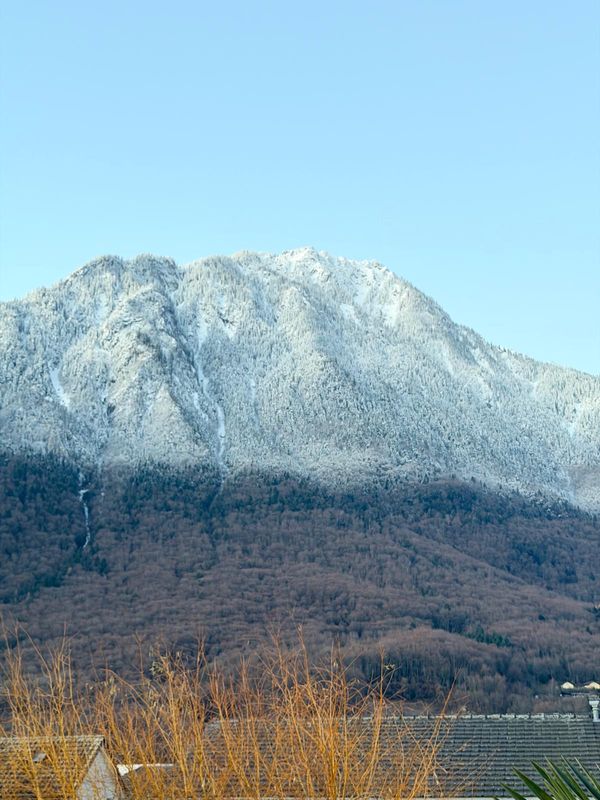 La maison de Sandeep & Cédric
