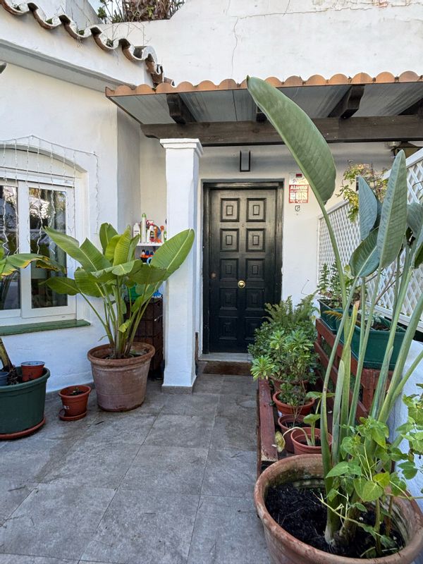 Un oasis tropical en primera línea de playa en Marbella