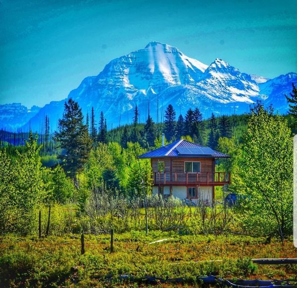 Essie (and Henry)s hus