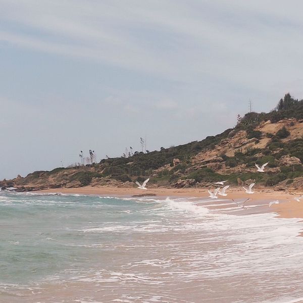 La maison de Mauro filippo