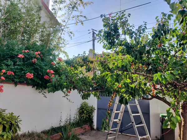 Charmante maison 120 m² avec jardin près des bords de Marne et à 15 min de Paris
