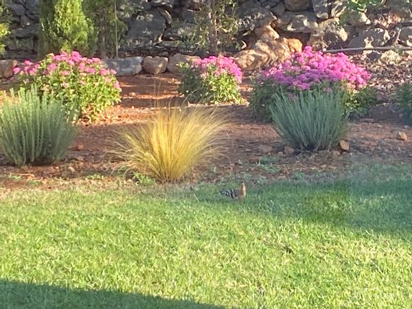 Maison de charme avec 3 chambres au coeur de la montagne, avec vue sur mer, près des iles sauvages!