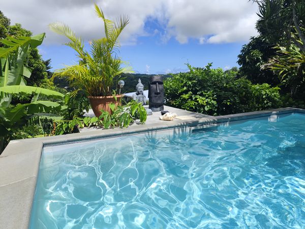 L'Anolis, bas de villa avec piscine