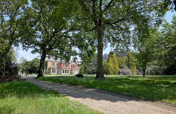 The Collectors House