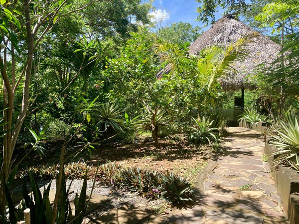 Michael & Ziviles hus