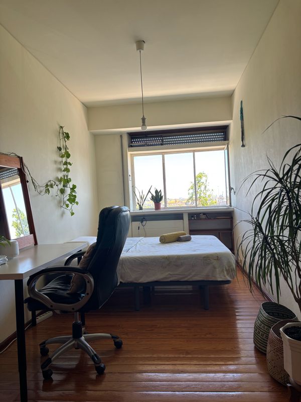 Beautiful Apartment in Campo de Ourique