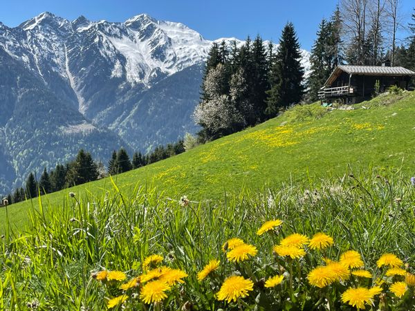 Le chalet d'alpage d'Isabelle
