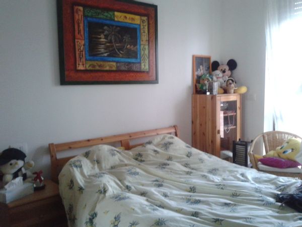 Guglielmina's house