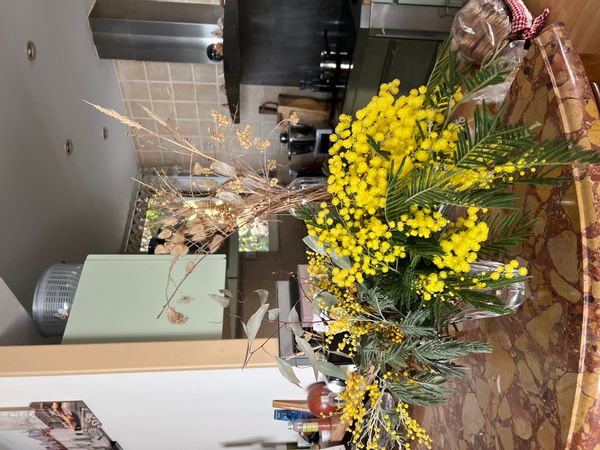 La maison de Martine est située dans une résidence sécurisée avec piscine de 25 m tennis boulodrome