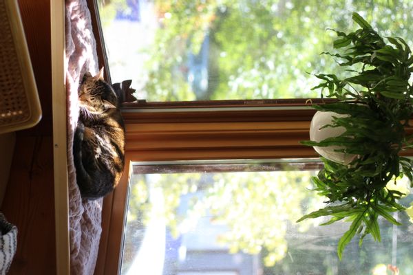 Casa di Devon & Madi