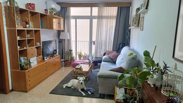 Sonia s Haus