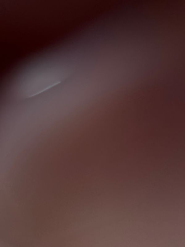 La maison de Leonardo