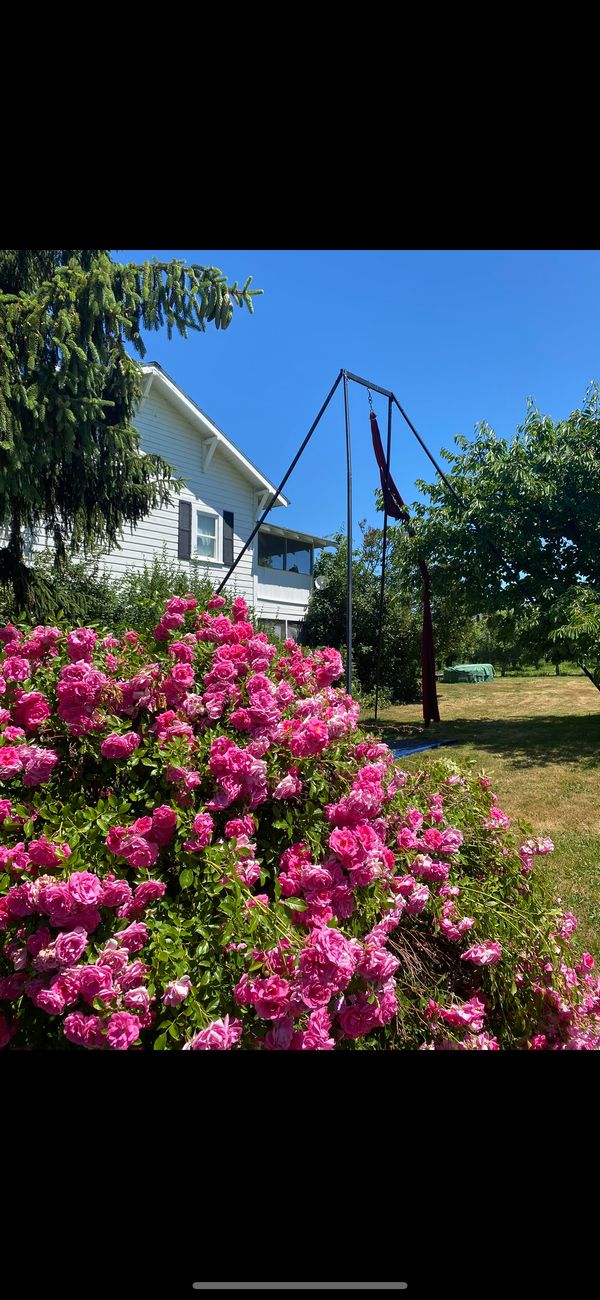 Casa de Sarah