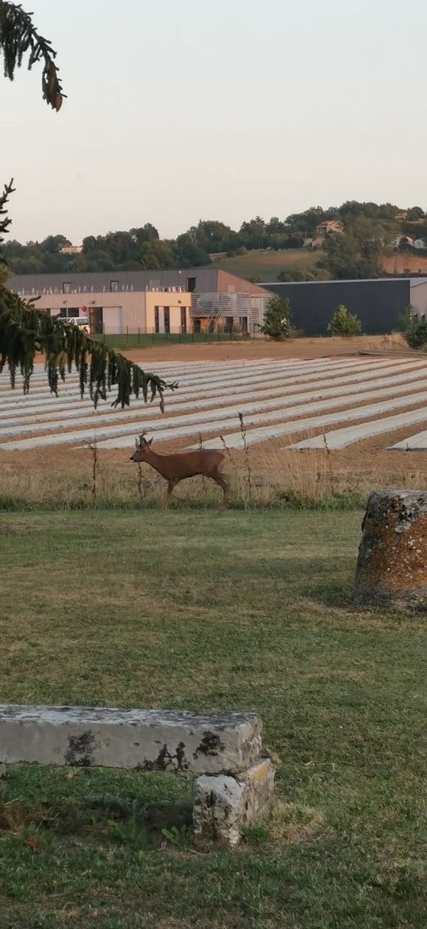 Maison de Jérémie au cœur de la campagne, paisible et proche de toutes les commodités