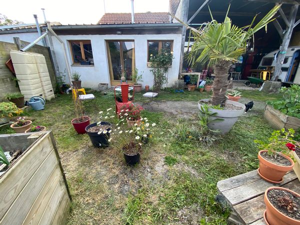 Patricia's house