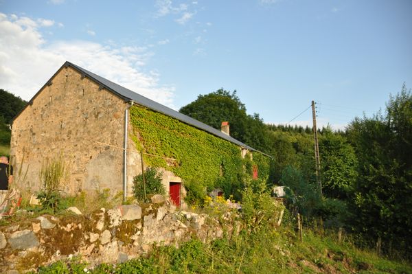 A  l'orée de la forêt morvandelle