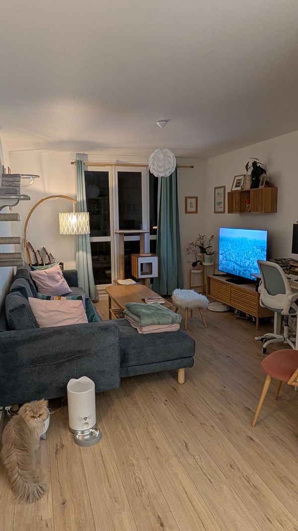 Appartement cosy à Versailles : Gare à 13 min, Paris à portée de main